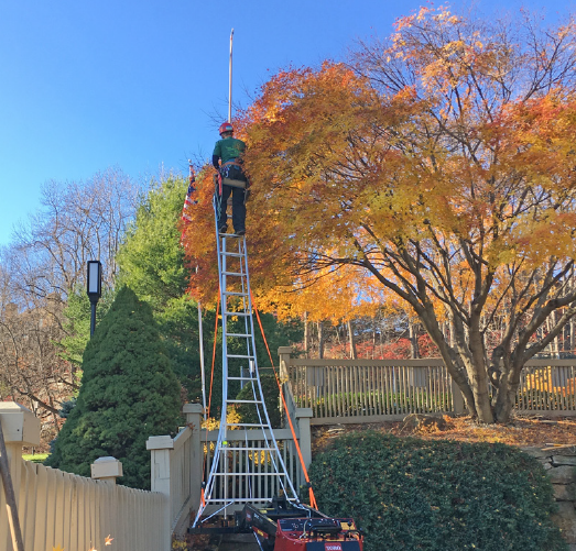 Fairfield Country Connecticut Tree Pruning